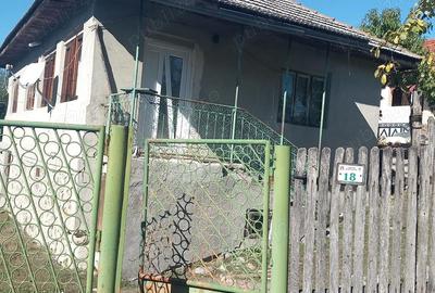 Casă cu 3 camere cu Teren 10000 Mp în Bustuchin - 1