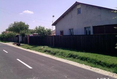 Casă cu 1 camere cu Teren 180 Mp în Dascălu - 10