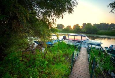 Oportunitate de investitie| Delta Dunarii |Mila 23| pensiune activa - 6