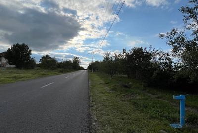 Teren de 1600 mp, în Cuied - 9