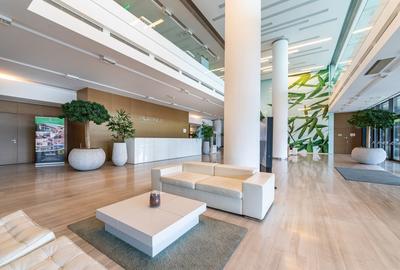 Inchiriere spatiu showroom in Platinum Business & Convention Center - Baneasa - 2