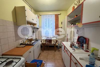 Apartament cu 2 camere decomandat în Săsar