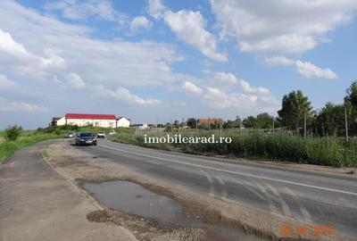 Teren construcție, în Sânnicolau Mic - 10