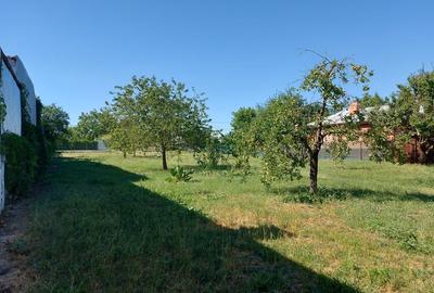 Teren de 700mp cu 24m deschidere situat pe Bd. Laminorului! - 5