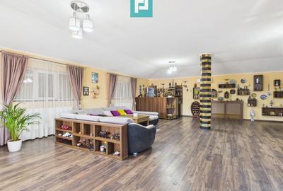 Pensiune la Orțișoara - 23