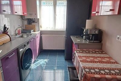 Apartament cu 2 camere semidecomandat în Săsar - 6