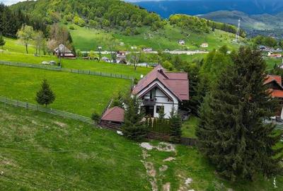 FILM! Refugiu montan,ales mobilat si utilat, decor mioritic,Bran, Fundata,Brasov - 20