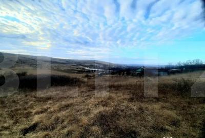 Teren de 2900 mp, în Sopor - 5