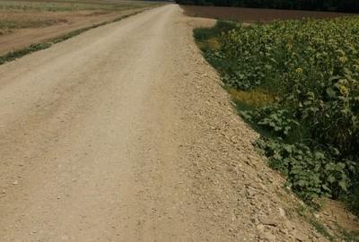 Teren agricol intravilan de 756 mp, în Frumușani - 1