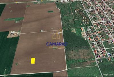 Teren de vanzare de 800 mp - Schitu (Costinesti) - 3