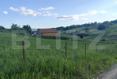 Teren în Valea Lupului
