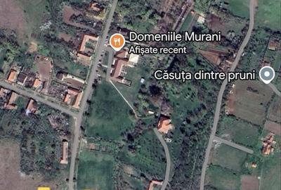 Spațiu comercial, în Murani - 1
