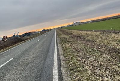 Teren de 9500 mp, în Remetea Mare - 4