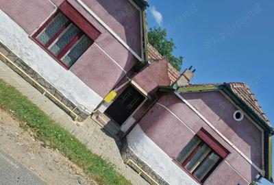 Casă cu 3 camere în Deta - 8