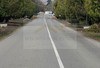 Casă cu 4 camere cu Teren 300 Mp în 1 Decembrie - 9