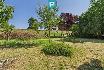 Casu?a de vacan?a cu POTEN?IAL DE INVESTI?IE - 7