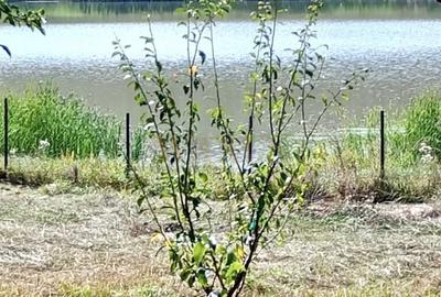 Casă cu 3 camere cu Teren 800 Mp în Apahida - 5