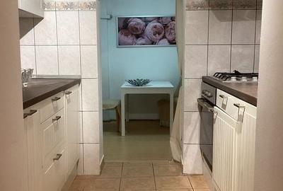 Casă Domenii/Cireșarii - 10