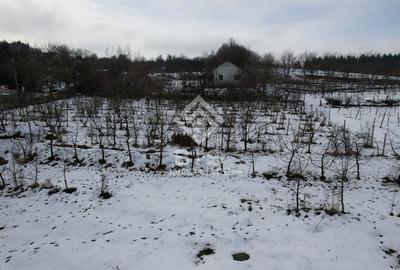 Teren Investitie Valea Jelnii - 7