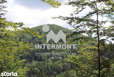 Teren de 500 mp, în Central - 4