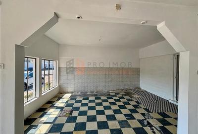 Spatiu comercial zona str. Horticolei - 3