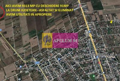 Teren Construcții intravilan de 9313 mp, în 1 Decembrie - 1