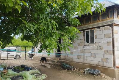 Casă cu 2 camere cu Teren 5000 Mp în Zlata - 5