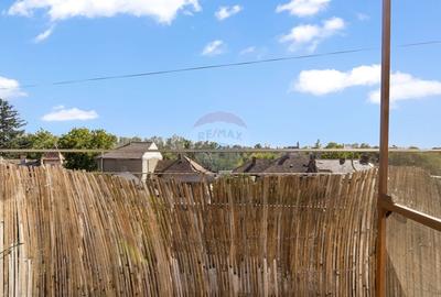 Apartament de LUX cu 2 camere de inchiriat - zona Romanilor - 11