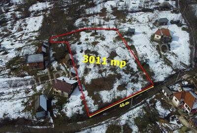 Teren de 3011 mp, în Bradu - 2