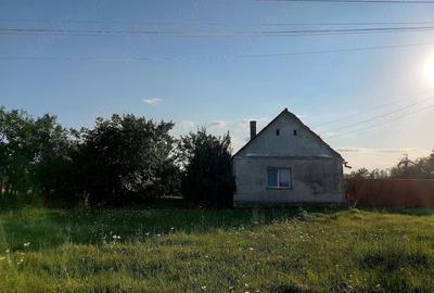 Casă în Alioș - 3