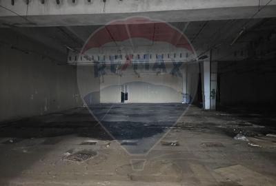 DE INCHIRIAT Spațiu industrial de 10,000mp în zona Gavana - 3