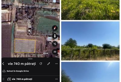 Casă cu 3 camere în Floroaica - 8