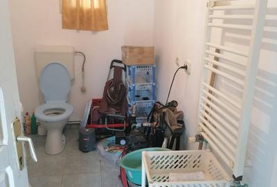 Singureni Stejaru casa intre paduri, cu teren 1600mp - 10