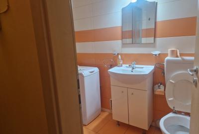 Garsoniera confort 1 cu centrala gaz-zona Matei Basarab etaj 2 - 11