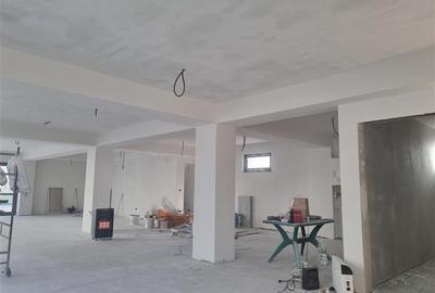 Spatiu Arena Mall - 6