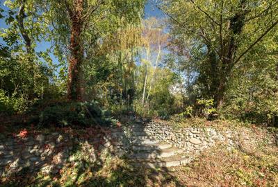 Spațiu comercial, de 474 mp, în Snagov - 17