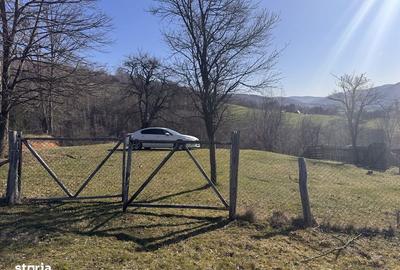 Teren de 3020 mp, în Negreni - 5