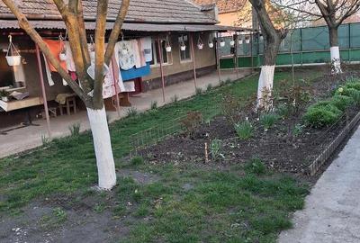 Casă cu Teren 2500 Mp în Otelec - 5