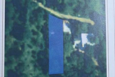 Spațiu comercial, în Podul Lung - 5