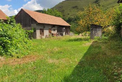 Vand casa la tara - 1