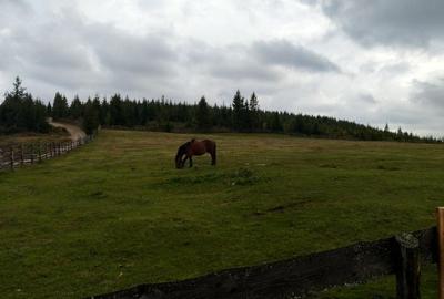 Vand Teren in Maguri, comuna Maguri-Racatau - 2