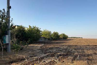 Teren Dn4 Frumusani - 3