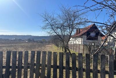 Teren agricol intravilan de 2581 mp, în Albeștii de Argeș - 5