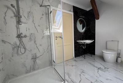 Hotel/Pensiune, de 300 mp, în Paleu - 18