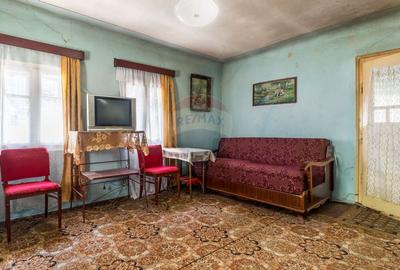 Casa cu gradina de vanzare in Copaceni - 10