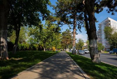 Vanzare spatiu comercial, investitie cu venit imediat, Drumul Binelui - 30