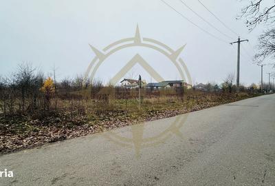 Spațiu comercial, în Corbeanca