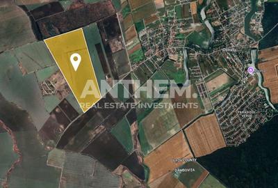 Teren Construcții intravilan de 450000 mp, în Corbeanca - 2