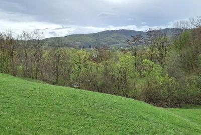 Teren în Șinca - 6