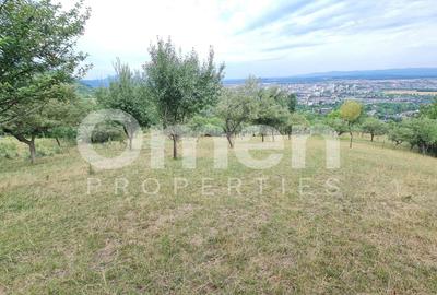 Teren Construcții extravilan de 10040 mp, în Valea Borcutului - 2